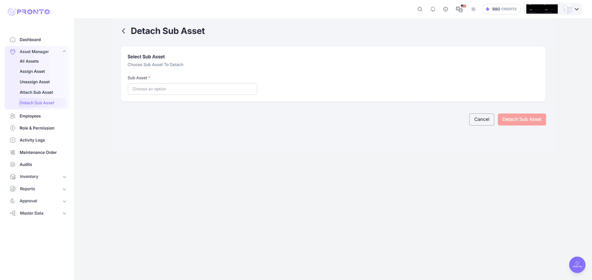 Detach Sub-Asset Form